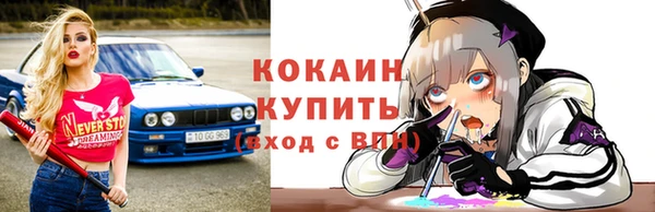 сатива Арсеньев