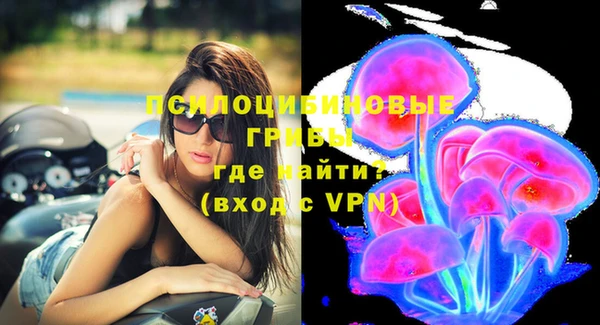 сатива Арсеньев