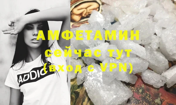 сатива Арсеньев