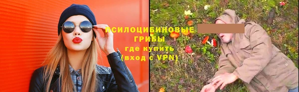 бошки Армянск