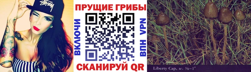 Псилоцибиновые грибы MAGIC MUSHROOMS  Купить закладки  Александровское 