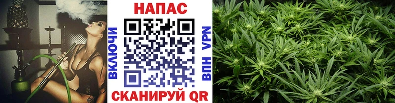 Купить  Александровское  Бошки Шишки план 